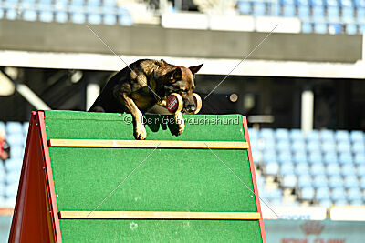 Sanji ze Stribrneho kamene