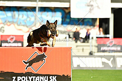 Sanji ze Stribrneho kamene