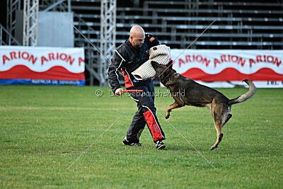 Sanji ze Stribrneho kamene