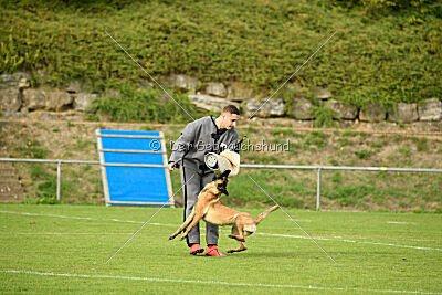 Santanasangel's Karuna