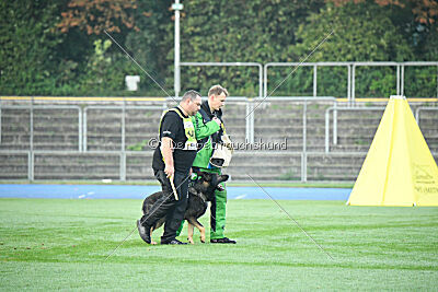 Sato European K9 training Base