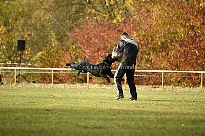 Saturain Stand by Me