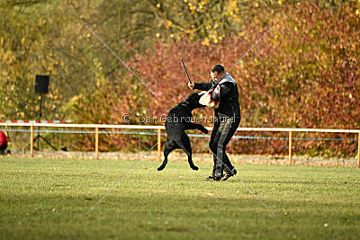 Saturain Stand by Me