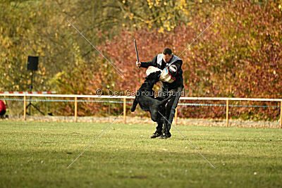 Saturain Stand by Me