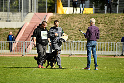 Schlumpfine vom Grenzlager