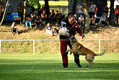 Serro de l'origine de faucon rouge