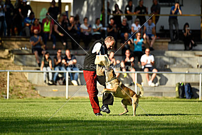 Serro de l'origine de faucon rouge