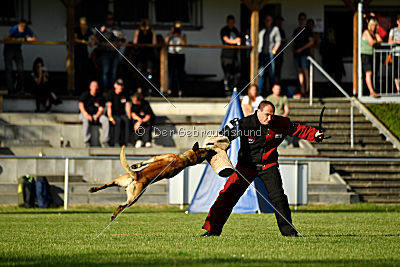Serro de l'origine de faucon rouge