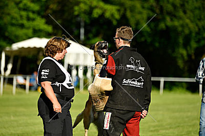 Serro de l'origine de faucon rouge