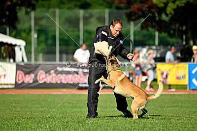 Serro de l'origine de faucon rouge