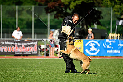 Serro de l'origine de faucon rouge