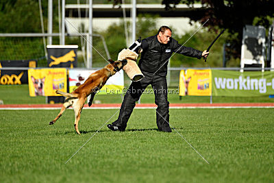 Serro de l'origine de faucon rouge