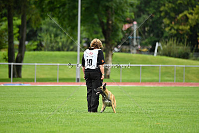 Serro de l'origine de faucon rouge