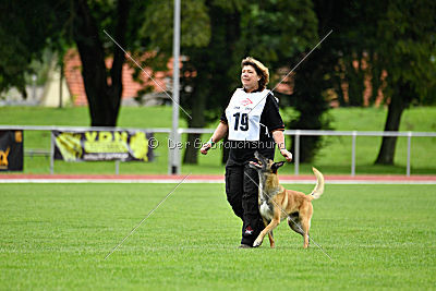 Serro de l'origine de faucon rouge