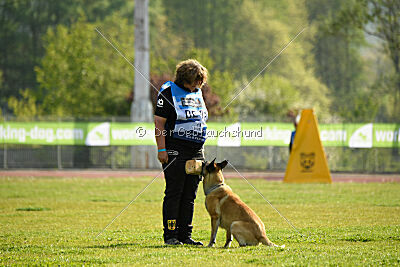 Serro de l'origine de faucon rouge