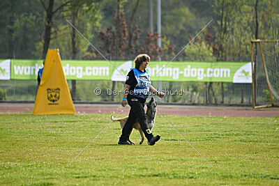Serro de l'origine de faucon rouge