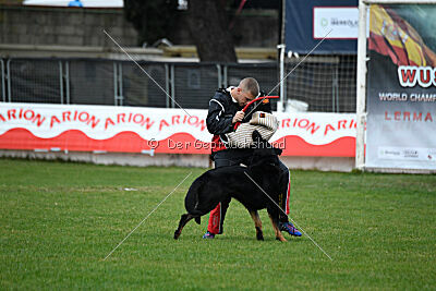 Sety von Haus Jaragon