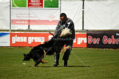 Shadow von der Jagsthöhe