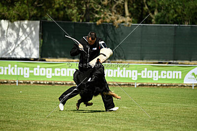 Shadow von der Jagsthöhe