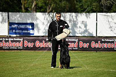 Shadow von der Jagsthöhe