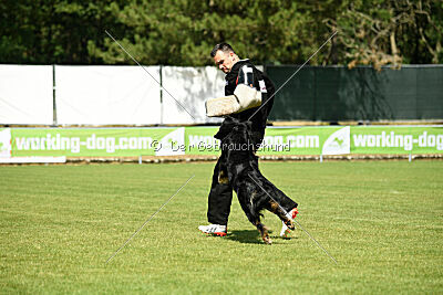 Shadow von der Jagsthöhe