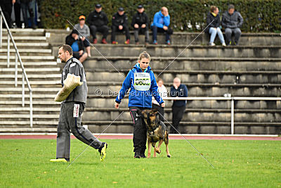 Sid vom Team bösen Bruderblick