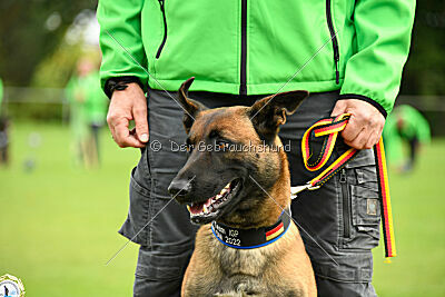 Siegerehrung, Victory Ceremony
