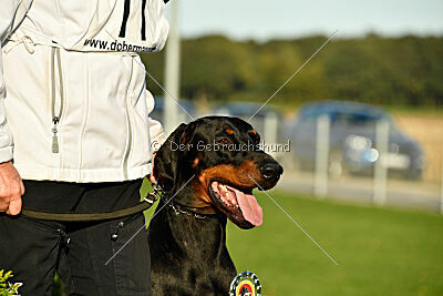 Siegerehrung, Victory Ceremony