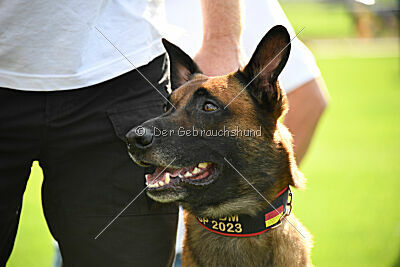 Siegerehrung, Victory Ceremony