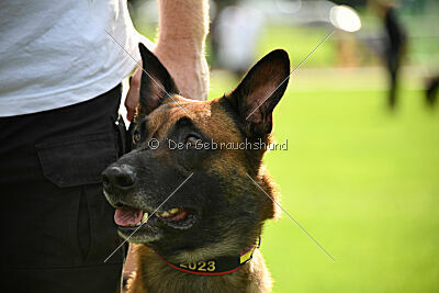 Siegerehrung, Victory Ceremony