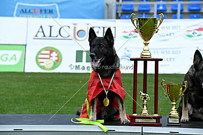 Siegerehrung, Victory Ceremony