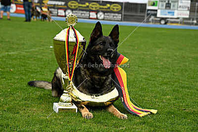 Siegerehrung, Victory Ceremony