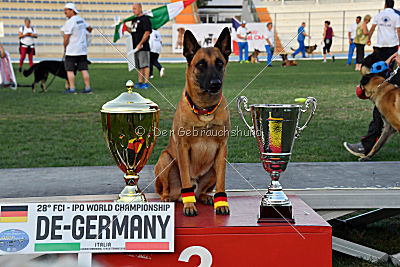 Siegerehrung, Victory Ceremony