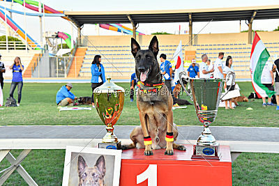 Siegerehrung, Victory Ceremony