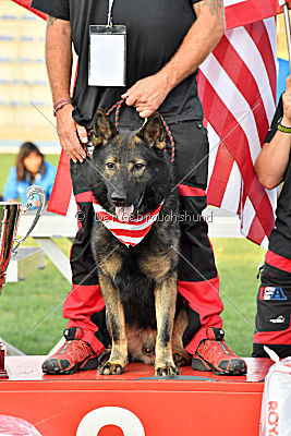 Siegerehrung, Victory Ceremony