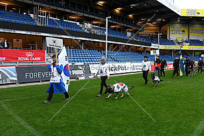 Siegerehrung, Victory Ceremony