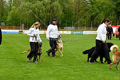 Siegerehrung, Victory Ceremony