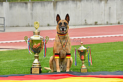 Siegerehrung, Victory Ceremony