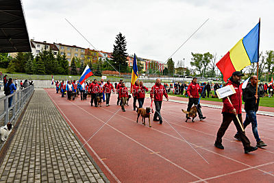 Siegerehrung, Victory Ceremony