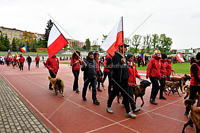Siegerehrung, Victory Ceremony