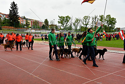 Siegerehrung, Victory Ceremony