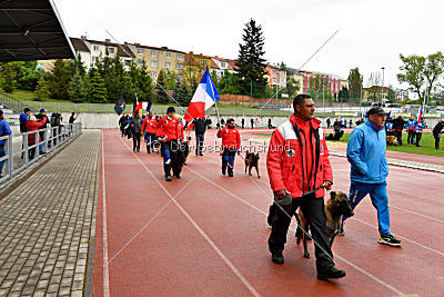 Siegerehrung, Victory Ceremony