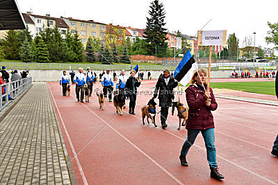 Siegerehrung, Victory Ceremony