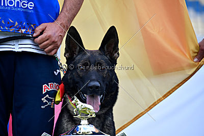 Siegerehrung, Victory Ceremony