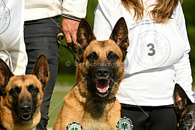Siegerehrung, Victory Ceremony