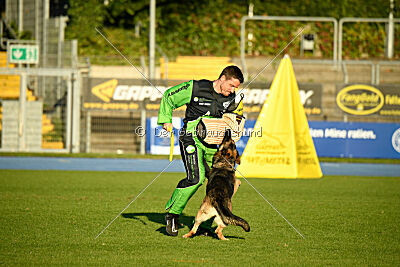 Skyla vom Erdbeerlord