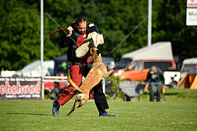 Soul of flame Bugsy-Bu