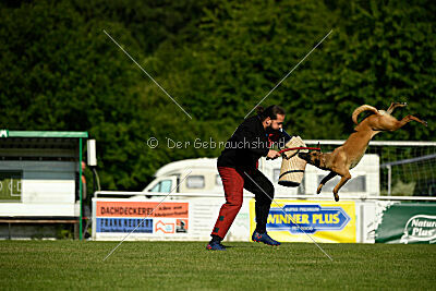 Soul of flame Bugsy-Bu