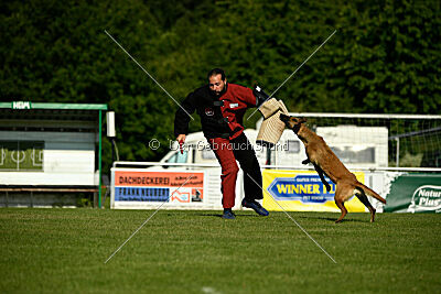 Soul of flame Bugsy-Bu