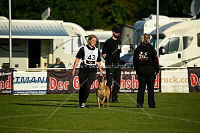 Soul of flame Bugsy-Bu